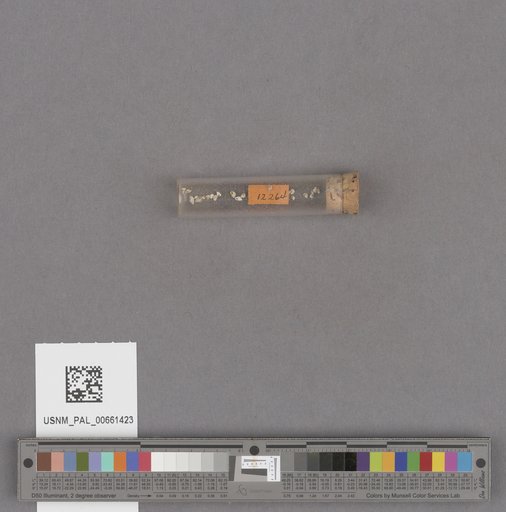 NSF ADBC EPICC TCN