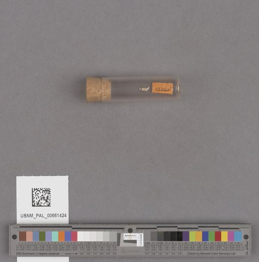 NSF ADBC EPICC TCN