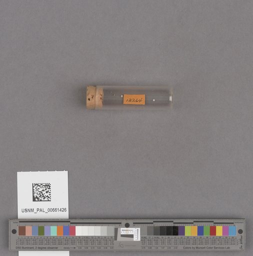 NSF ADBC EPICC TCN