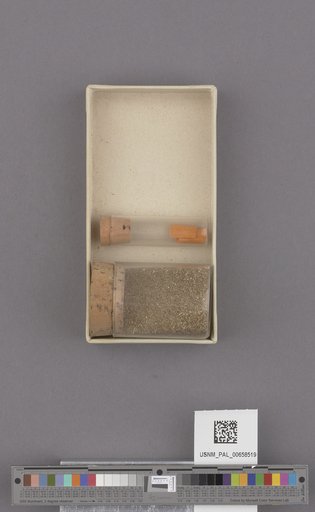 NSF ADBC EPICC TCN
