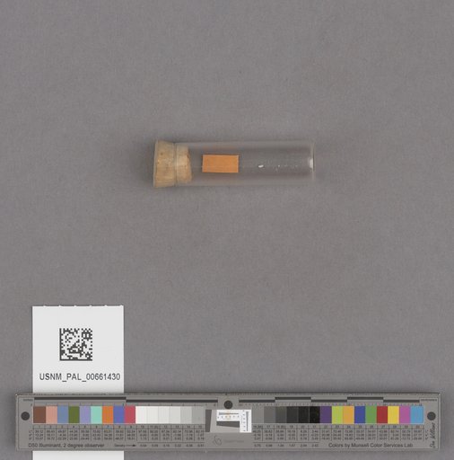 NSF ADBC EPICC TCN