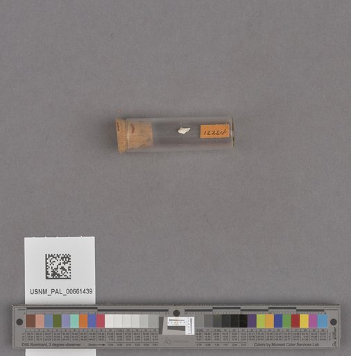NSF ADBC EPICC TCN