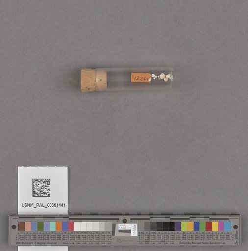 NSF ADBC EPICC TCN