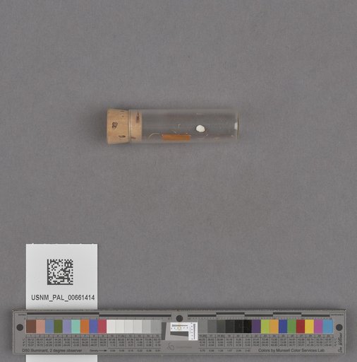 NSF ADBC EPICC TCN