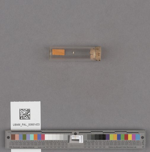 NSF ADBC EPICC TCN