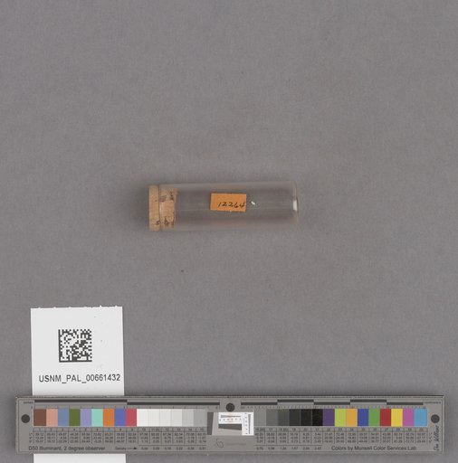 NSF ADBC EPICC TCN