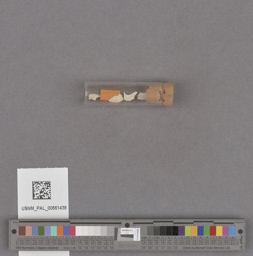 NSF ADBC EPICC TCN