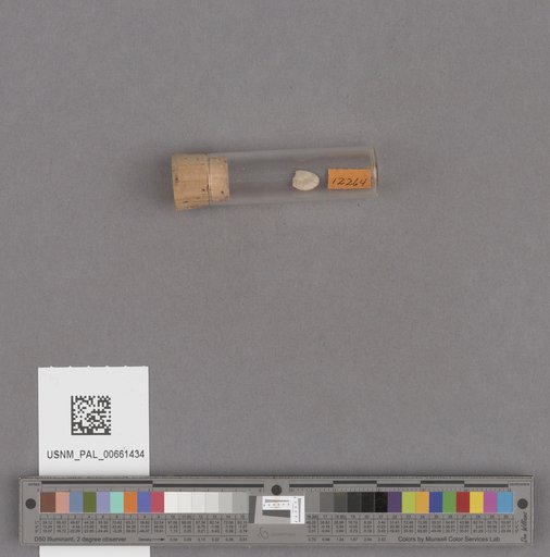 NSF ADBC EPICC TCN