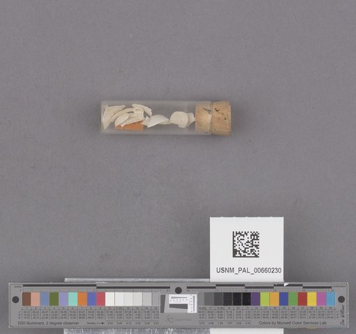 NSF ADBC EPICC TCN