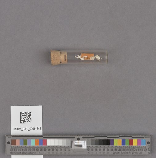 NSF ADBC EPICC TCN