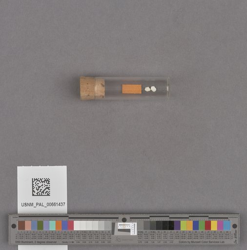 NSF ADBC EPICC TCN