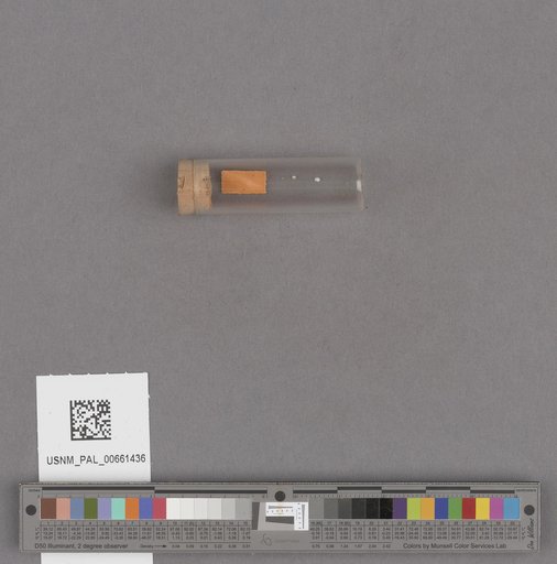 NSF ADBC EPICC TCN