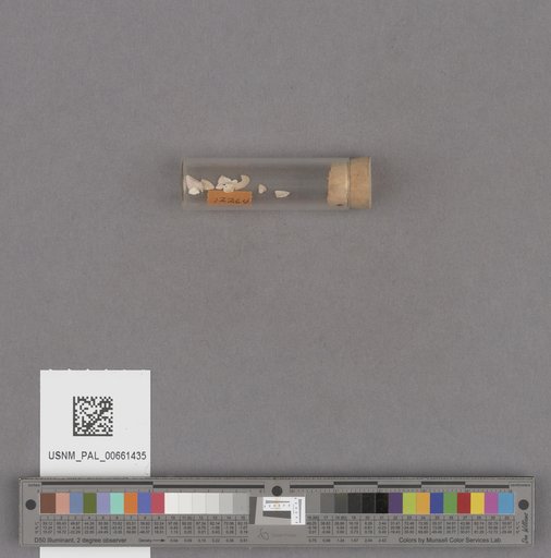 NSF ADBC EPICC TCN