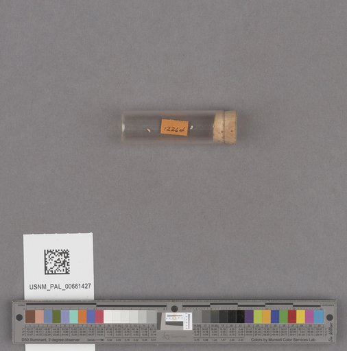 NSF ADBC EPICC TCN