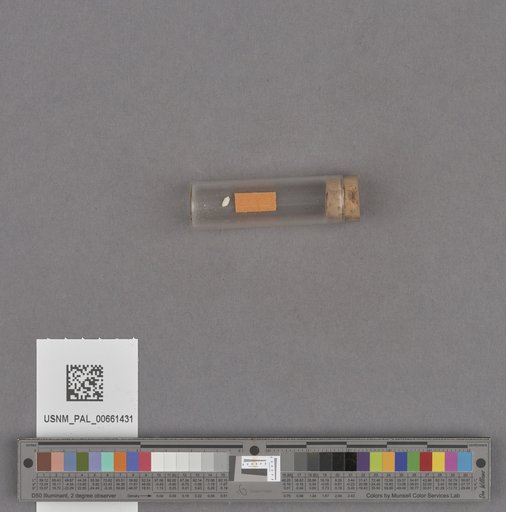 NSF ADBC EPICC TCN