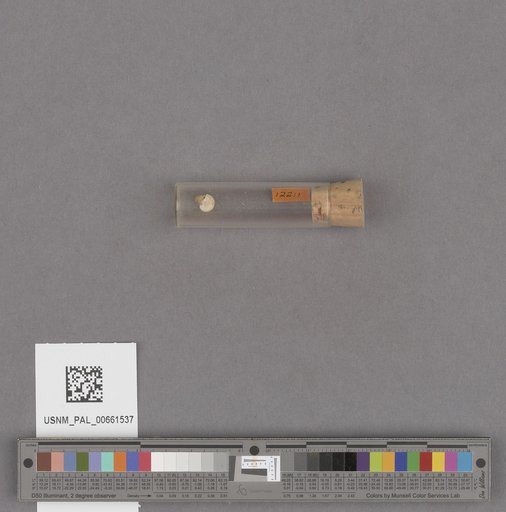 NSF ADBC EPICC TCN