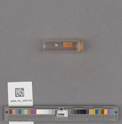 NSF ADBC EPICC TCN