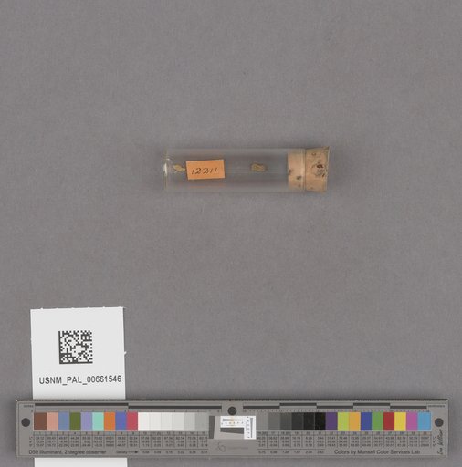 NSF ADBC EPICC TCN