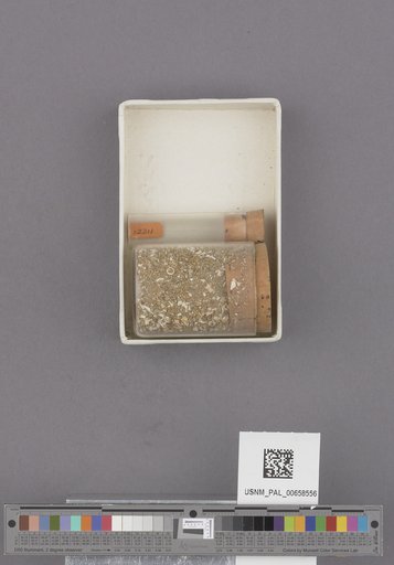 NSF ADBC EPICC TCN