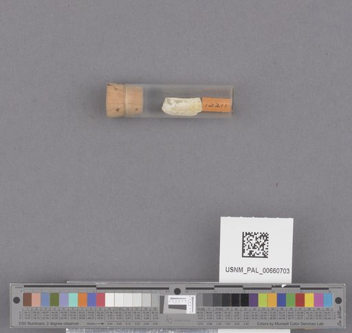 NSF ADBC EPICC TCN