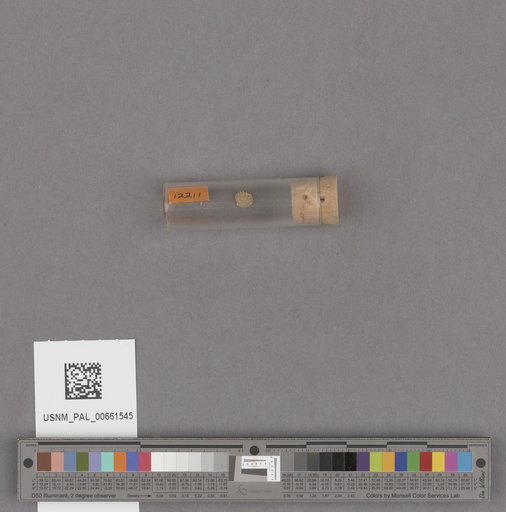 NSF ADBC EPICC TCN