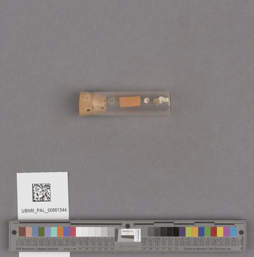 NSF ADBC EPICC TCN