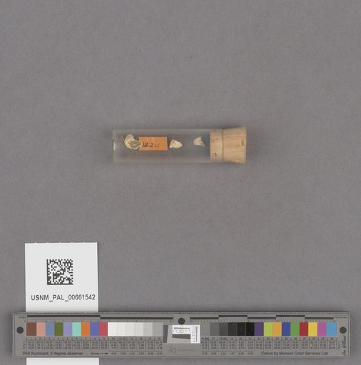 NSF ADBC EPICC TCN