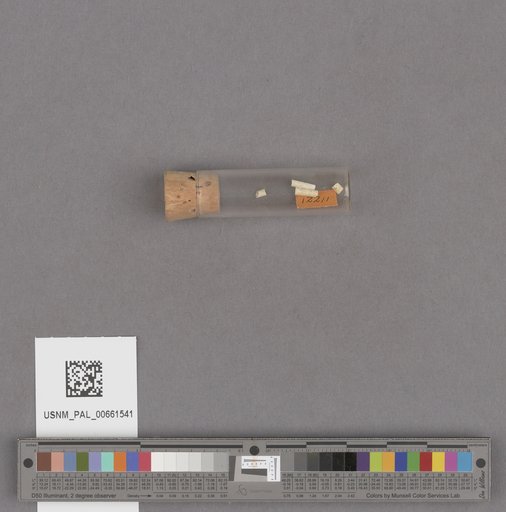 NSF ADBC EPICC TCN