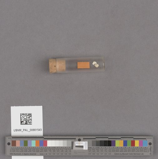 NSF ADBC EPICC TCN