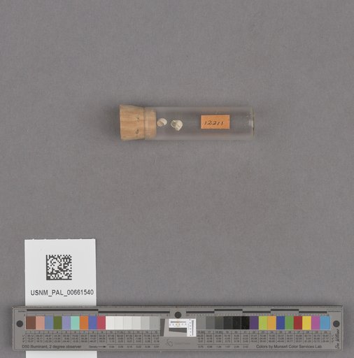 NSF ADBC EPICC TCN