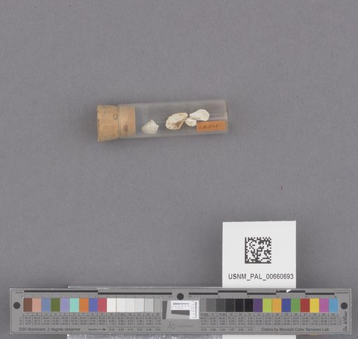 NSF ADBC EPICC TCN