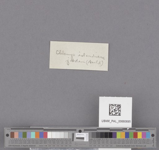 NSF ADBC EPICC TCN