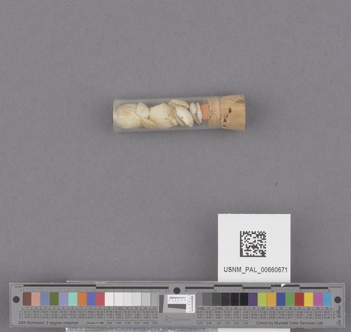 NSF ADBC EPICC TCN