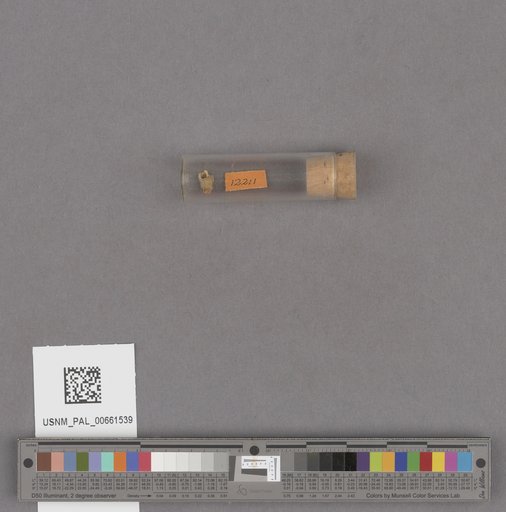 NSF ADBC EPICC TCN