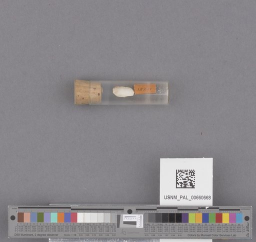 NSF ADBC EPICC TCN