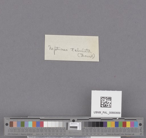 NSF ADBC EPICC TCN
