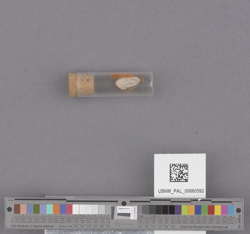 NSF ADBC EPICC TCN