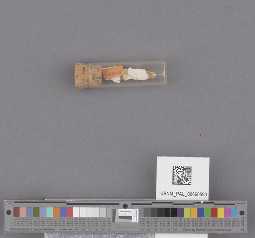 NSF ADBC EPICC TCN