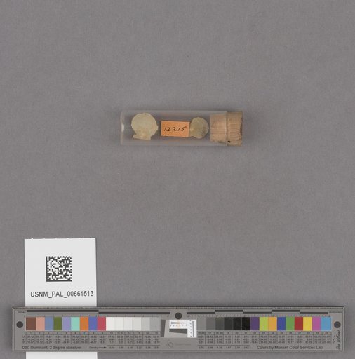 NSF ADBC EPICC TCN