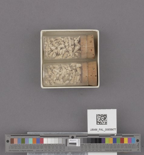 NSF ADBC EPICC TCN