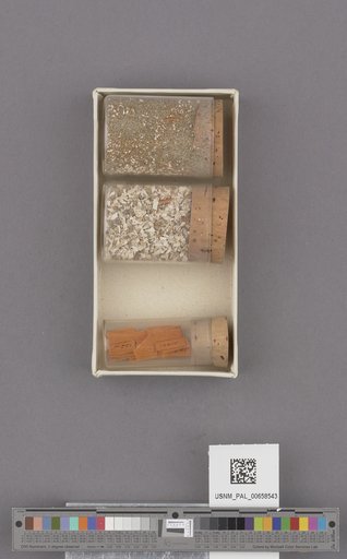 NSF ADBC EPICC TCN