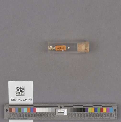 NSF ADBC EPICC TCN