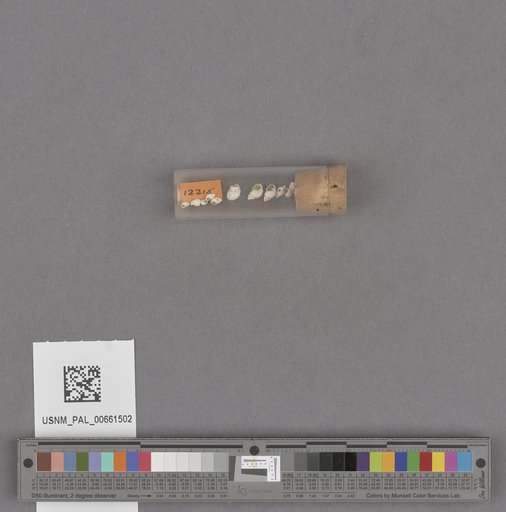 NSF ADBC EPICC TCN