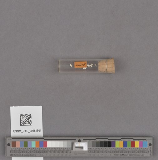 NSF ADBC EPICC TCN