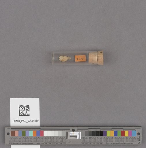 NSF ADBC EPICC TCN