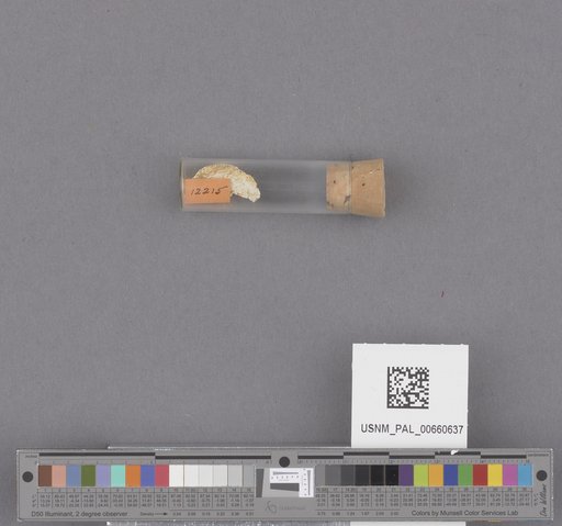 NSF ADBC EPICC TCN