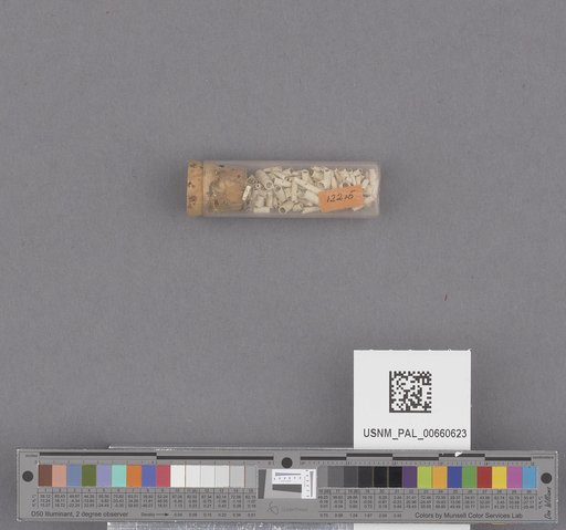 NSF ADBC EPICC TCN