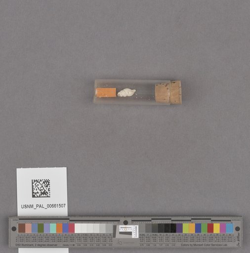 NSF ADBC EPICC TCN