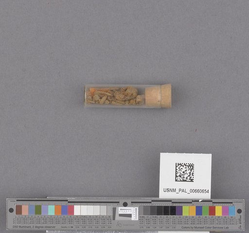 NSF ADBC EPICC TCN