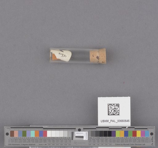 NSF ADBC EPICC TCN